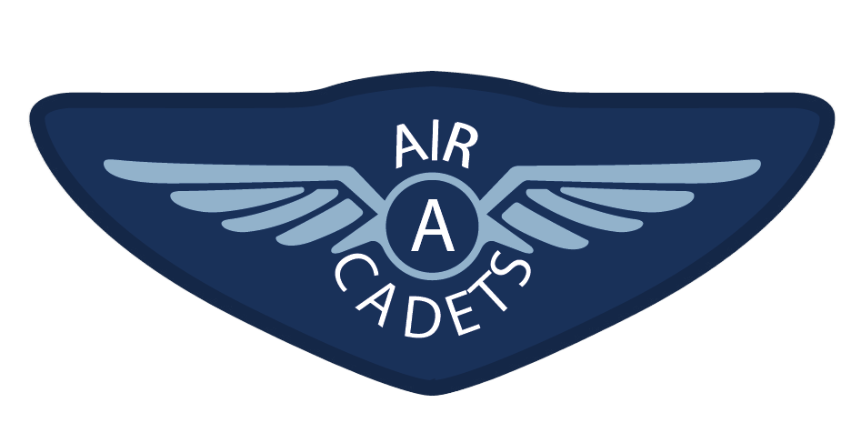 Aviation badge