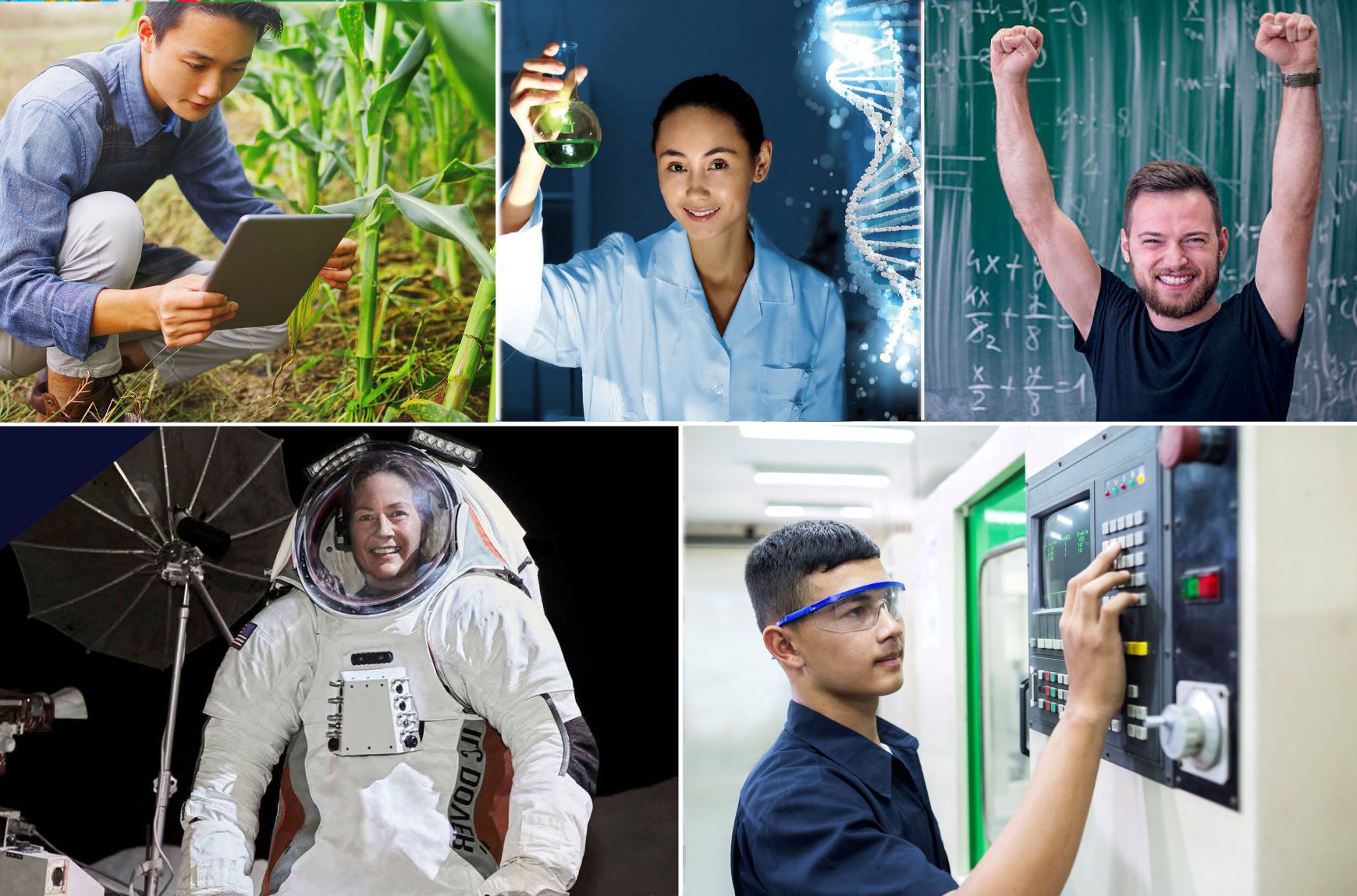 STEM careers insight (example)